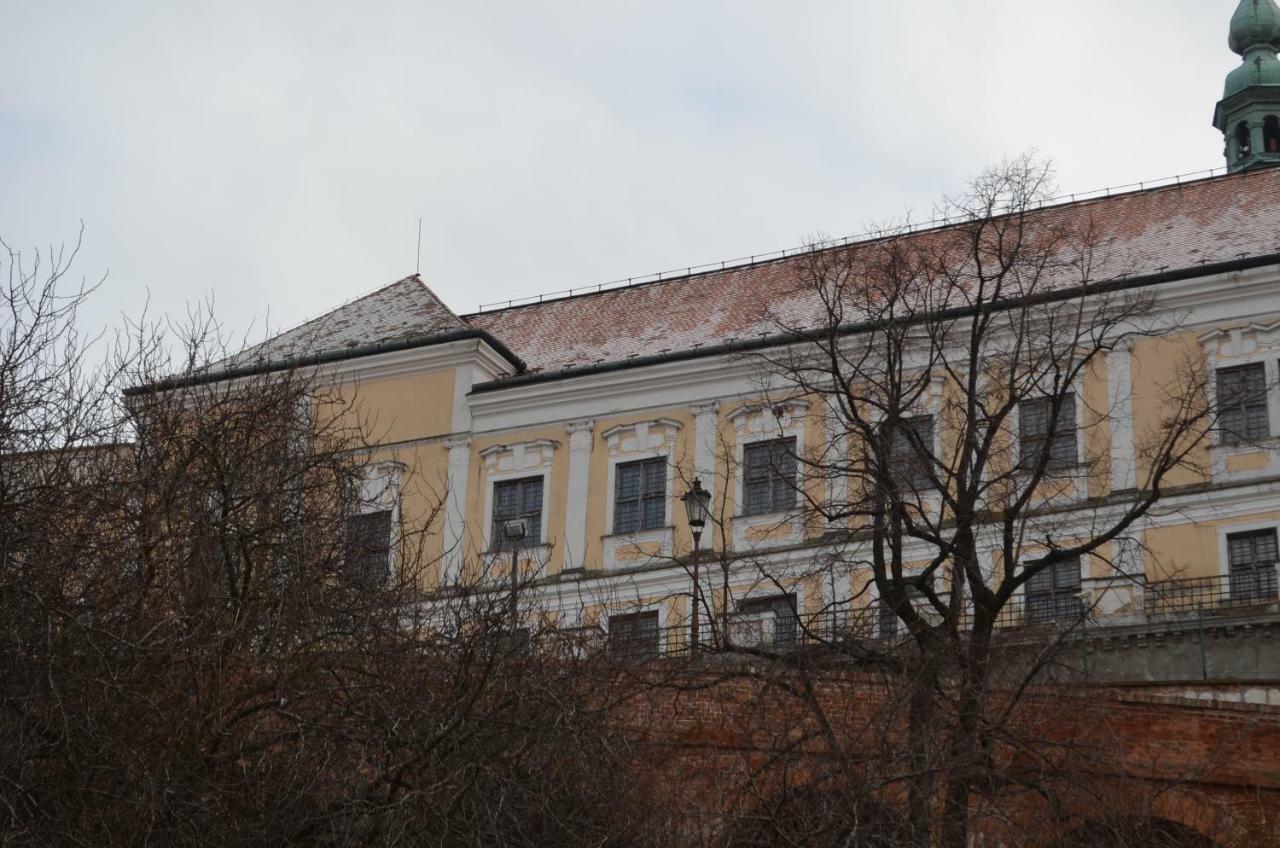 Penzion U Zabaka Мікулов Екстер'єр фото